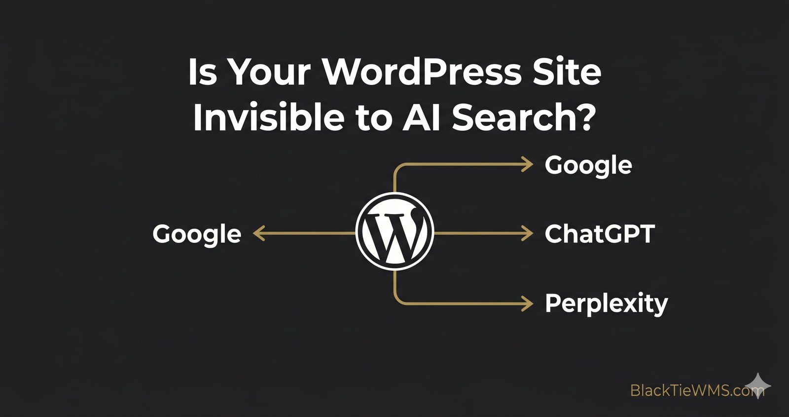 local seo schema markup for WordPress sites — BlackTieWMS.com